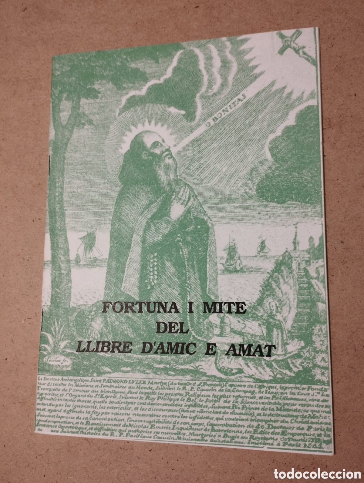 Libros de segunda mano: FORTUNA I MITE DEL LLIBRE DAMIC E AMAT (ALBERT SOLER) - Foto 1