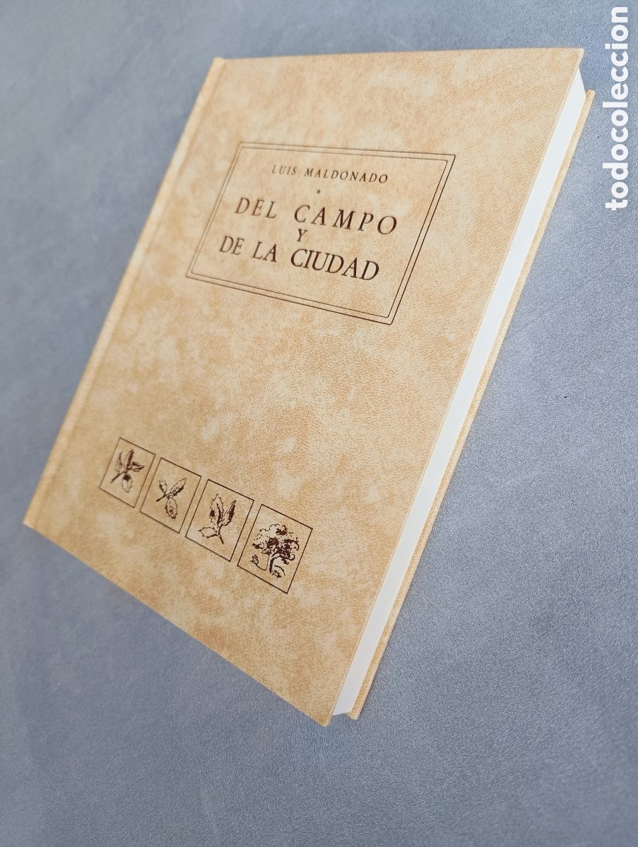 Libros de segunda mano: Del campo y de la ciudad. Luis Maldonado. - Foto 7