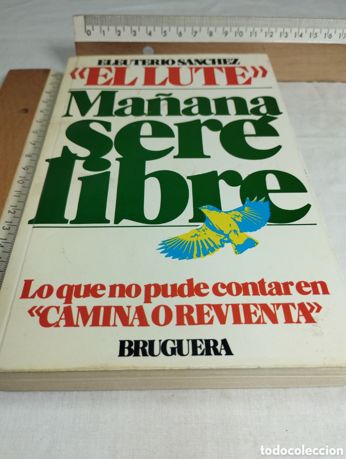 Libros de segunda mano: Ma&ntilde;ana ser&eacute; libre. Eleuterio S&aacute;nchez, 1979 - Foto 1