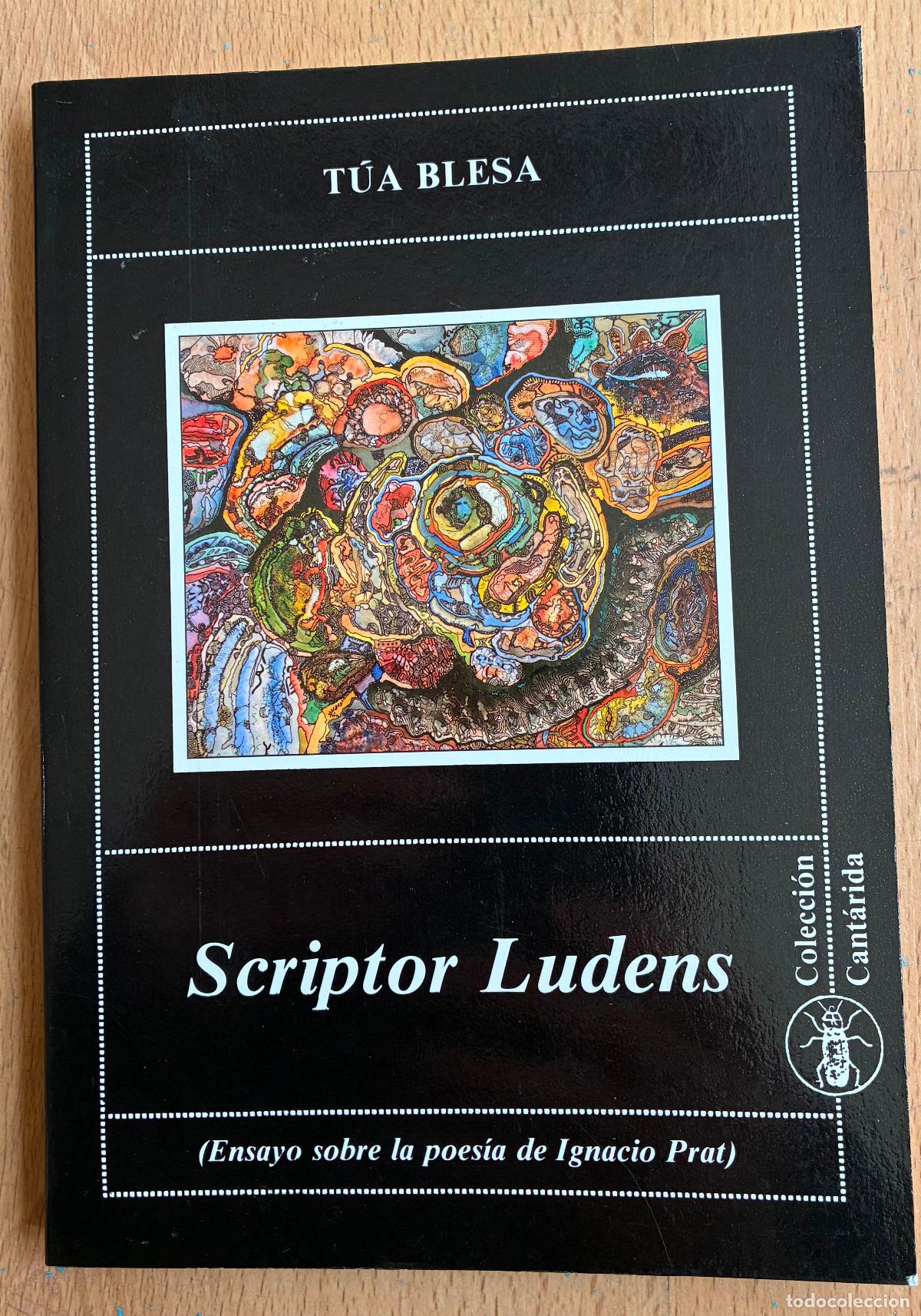 Libros de segunda mano: TUA BLESA, SCRIPTOR LUDENS, Ensayo sobre la poesia de Ignacio Prat - Foto 1