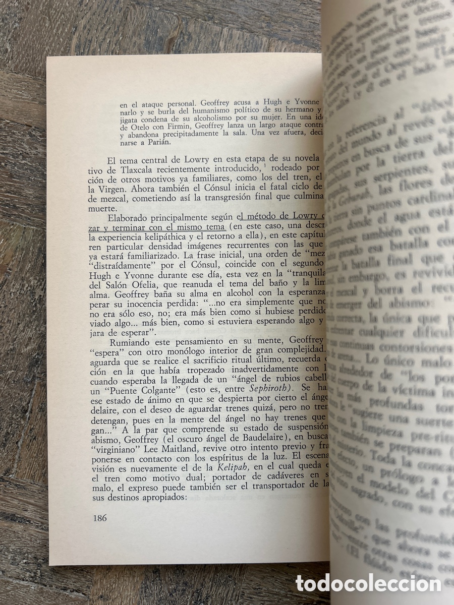 Libros de segunda mano: El laberinto privado de Malcolm Lowry - Perle E. Epstein - Monte Avila Editores (1975! - Foto 8