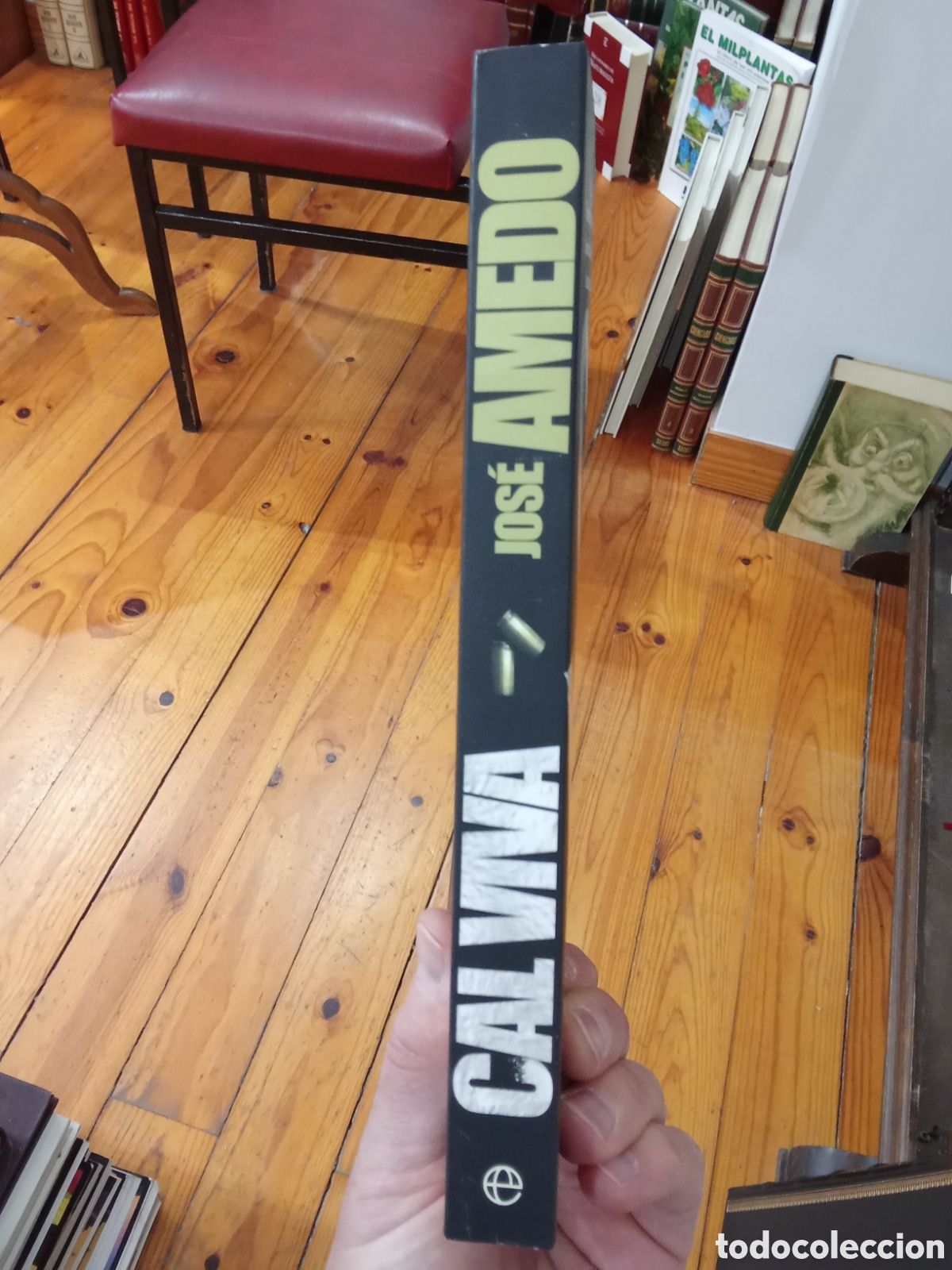 Libros de segunda mano: Cal Viva - Jos&eacute; Amedo - La esfera de los libros - Foto 2