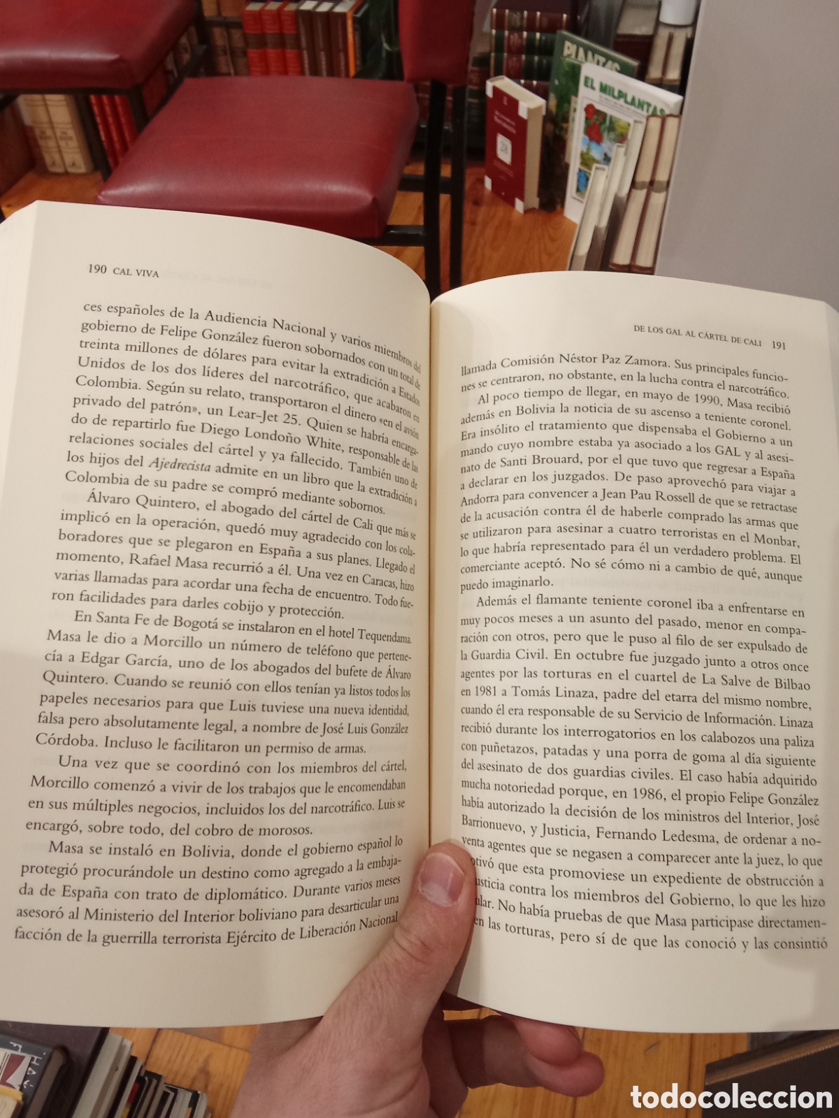 Libros de segunda mano: Cal Viva - Jos&eacute; Amedo - La esfera de los libros - Foto 6