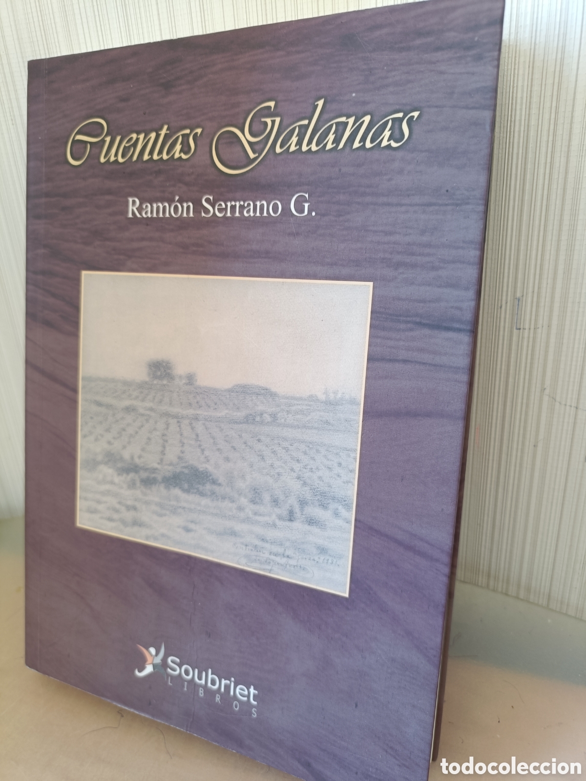 Cuentas galanas Ram&oacute;n Serrano Garc&iacute;a