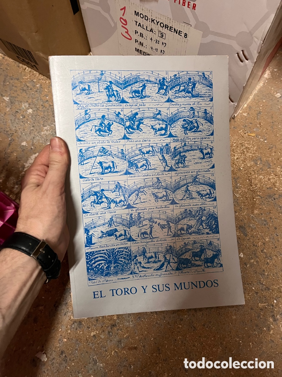 Libros de segunda mano: Caja103 Caja13K EL TORO Y SUS MUNDOS - caja ahorros Alicante y murcia