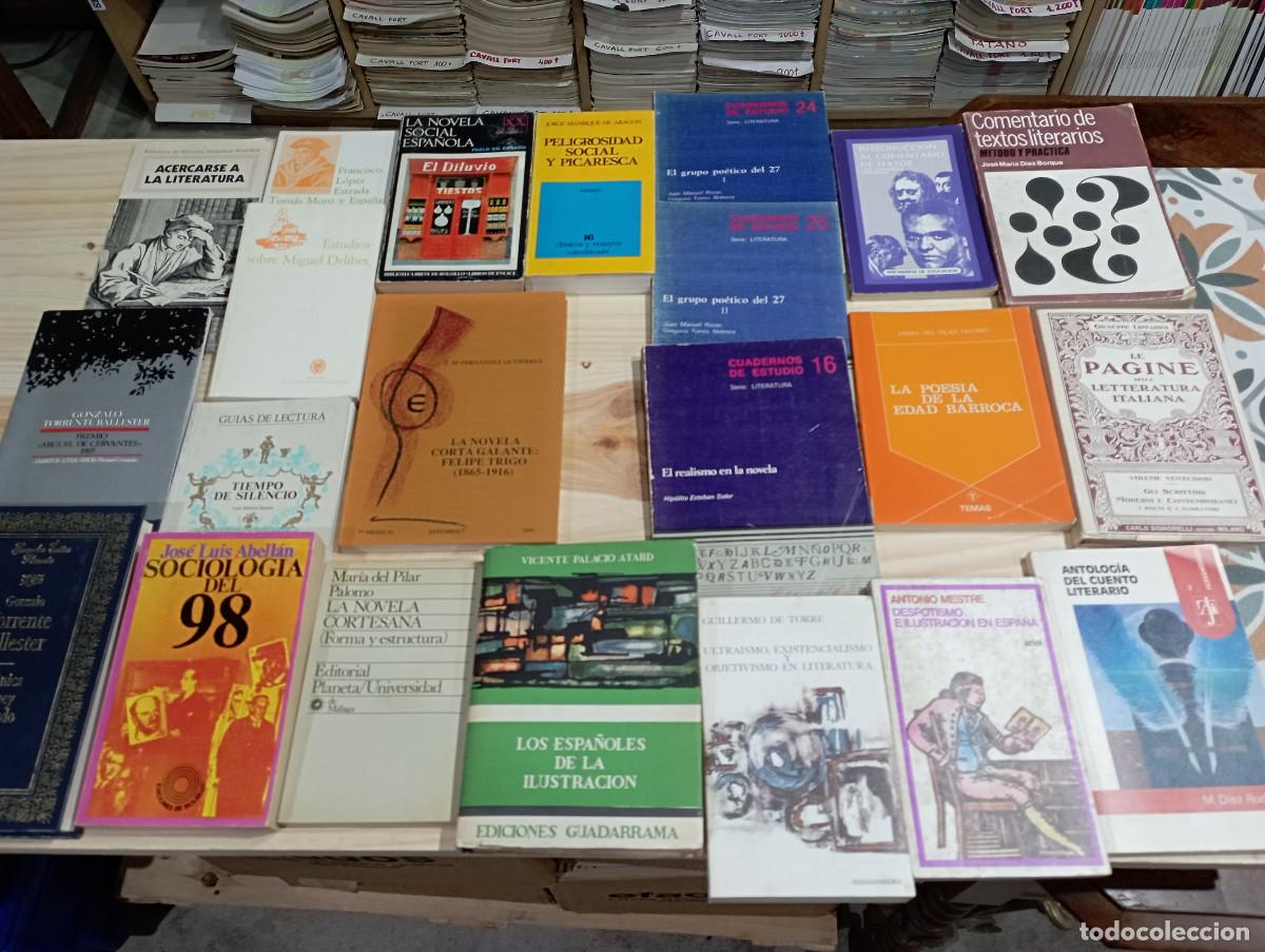 Libros de segunda mano: LOTE DE 22 LIBROS DE LITERATURA - A2 - Foto 1