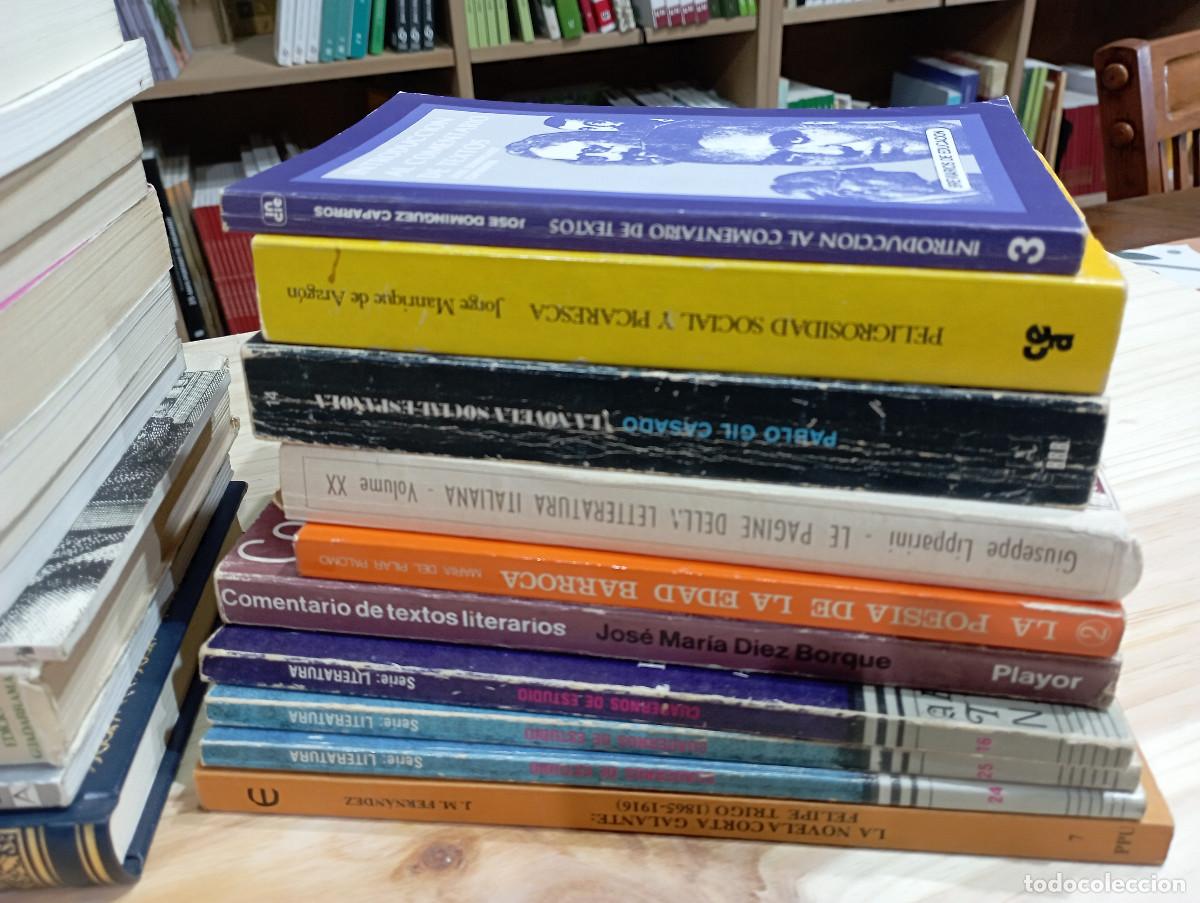 Libros de segunda mano: LOTE DE 22 LIBROS DE LITERATURA - A2 - Foto 10