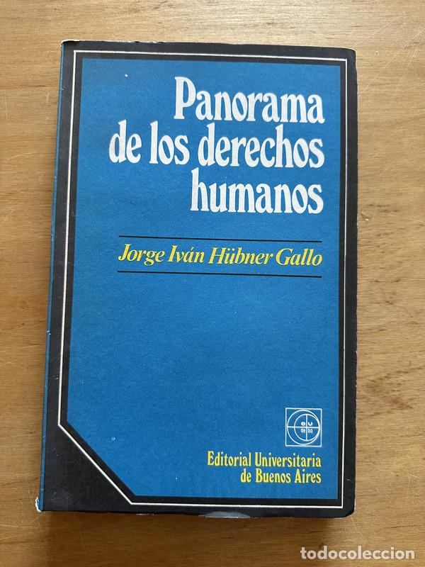 Libros de segunda mano: Panorama de los derechos humanos - Hubner Gallo, Jorge Ivan - Foto 1