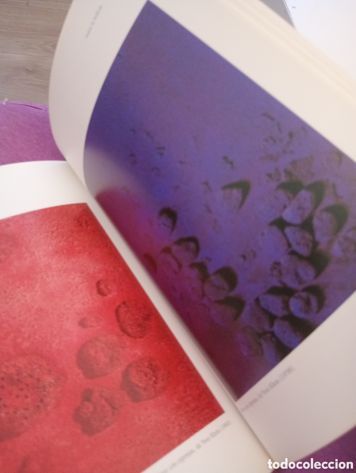 Libros de segunda mano: Sobre la belleza . Enrique Lynch . Anaya - Foto 2