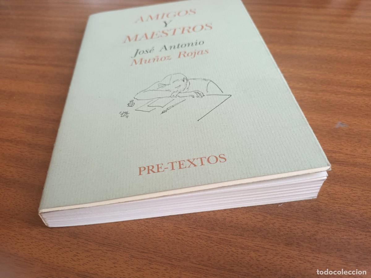 Libros de segunda mano: Amigos y maestros --- Jos&eacute; Antonio Mu&ntilde;oz Rojas - Foto 3