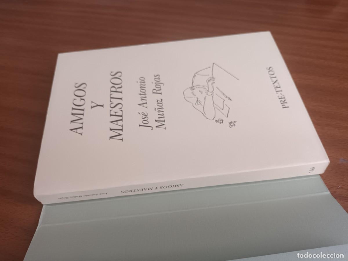 Libros de segunda mano: Amigos y maestros --- Jos&eacute; Antonio Mu&ntilde;oz Rojas - Foto 4