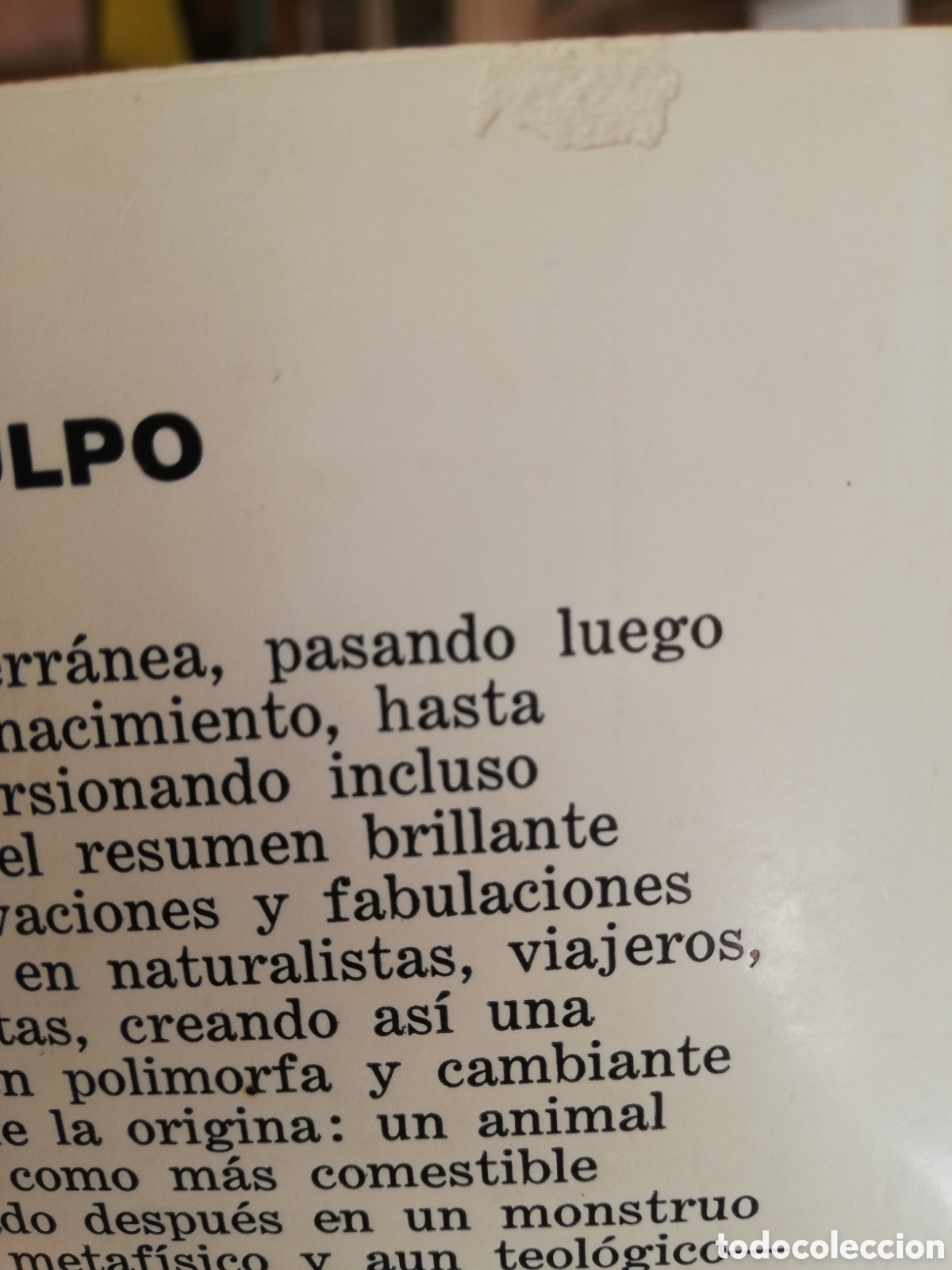 Libros de segunda mano: Mitolog&iacute;a del pulpo, de Roger Caillois - Foto 4