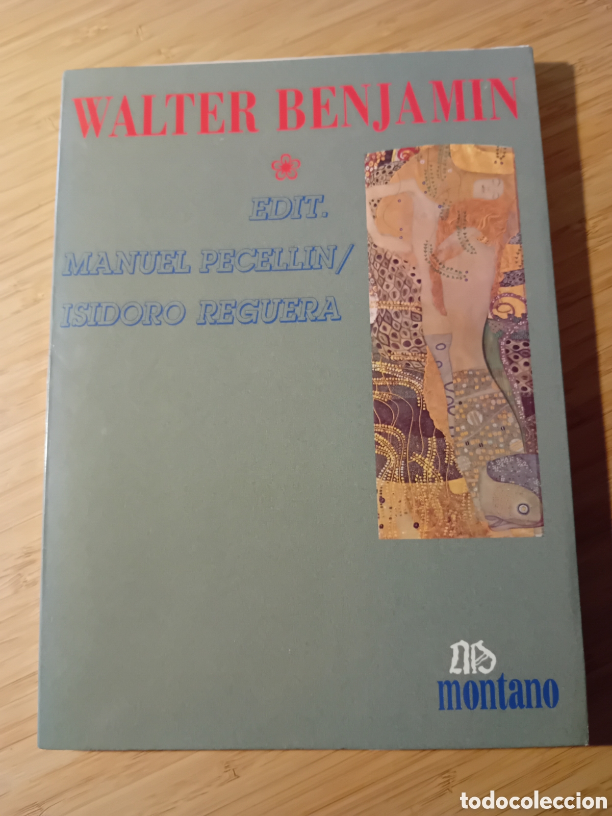 Libros de segunda mano: Walter Benjamin (Manuel Pecellin y Isidoro Reguera 1994) - Foto 1
