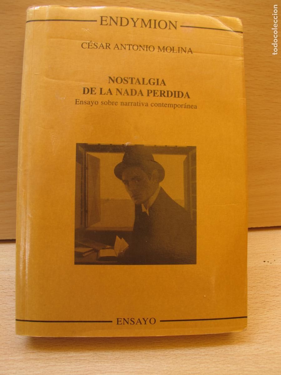 Libros de segunda mano: NOSTALGIA DE LA NADA PERDIDA .- C&Eacute;SAR ANTONIO MOLINA. - EDIC. ENDYMION. 1996 - Foto 1