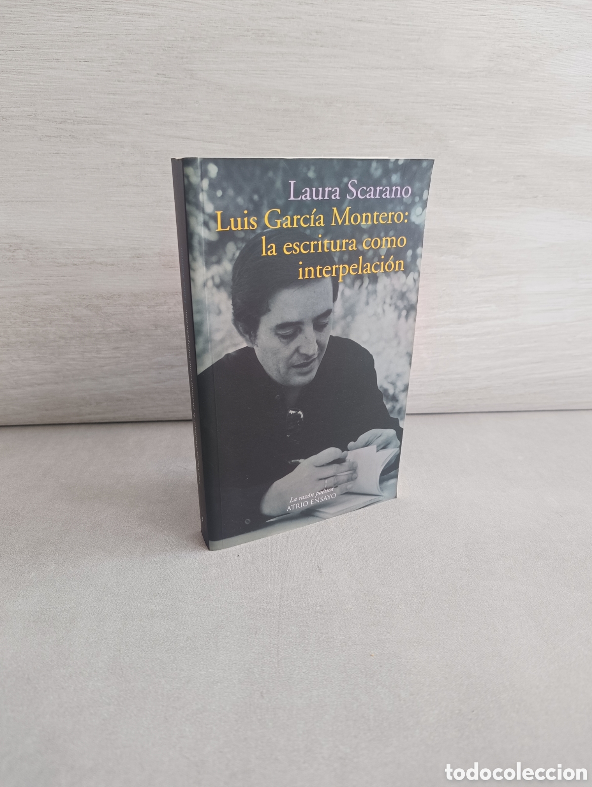 Libros de segunda mano: Luis Garc&iacute;a Montero: la escritura como interpelaci&oacute;n. Scarano, Laura.
