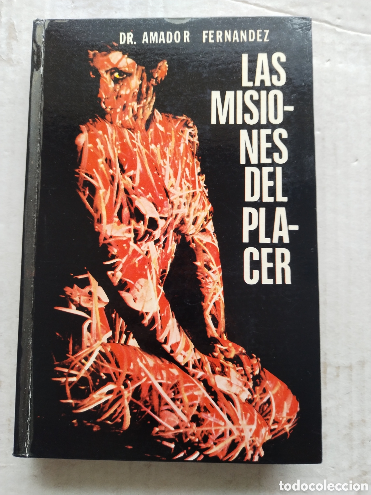 Gebrauchte B&uuml;cher: LAS MISIONES DEL PLACER/DR. AMADOR FERN&Aacute;NDEZ