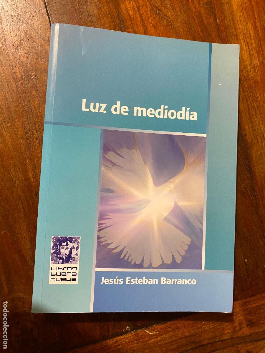 Libros de segunda mano: LUZ DE MEDIODIA - JESUS ESTEBAN BARRANCO, JESUS ESTEBAN BARRANCO 2011