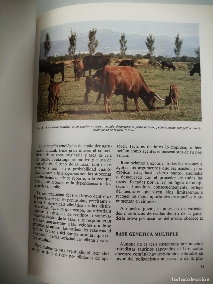 Libros de segunda mano: Geograf&iacute;a espa&ntilde;ola del Toro de Lidia - Foto 3
