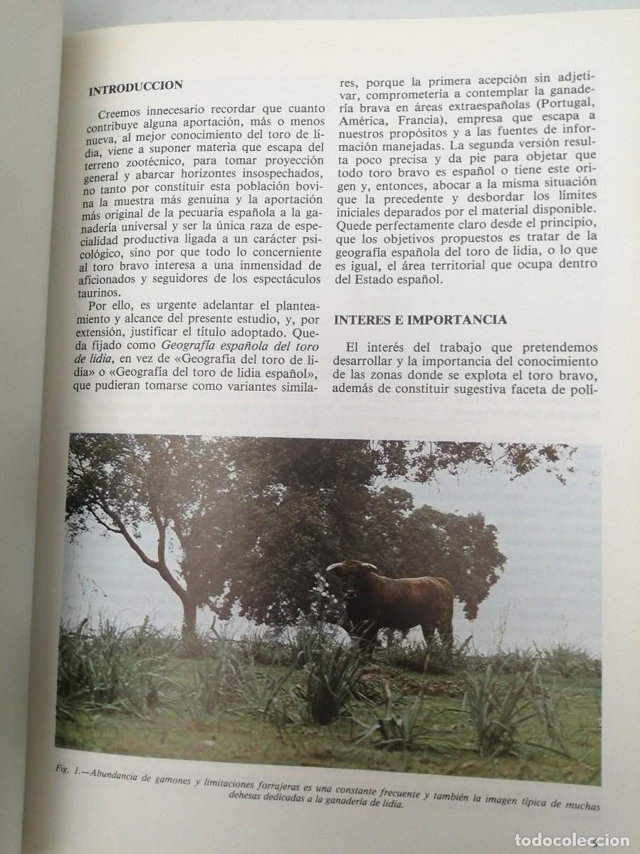 Libros de segunda mano: Geograf&iacute;a espa&ntilde;ola del Toro de Lidia - Foto 5