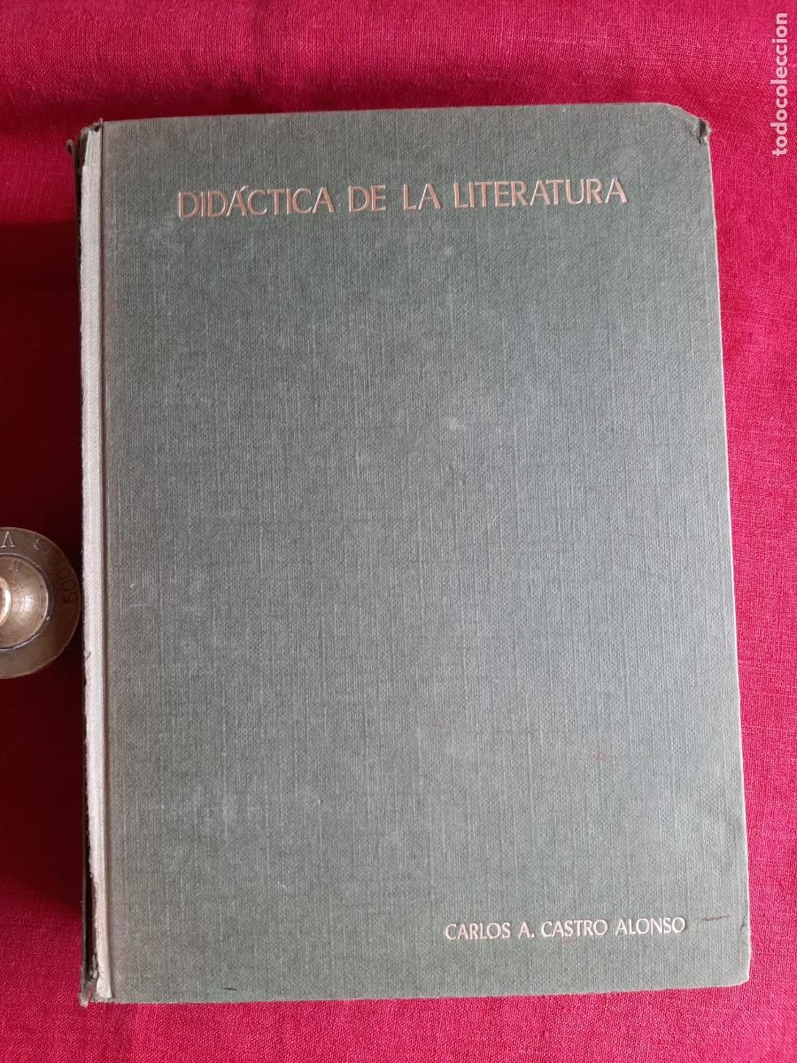 Libri di seconda mano: Did&aacute;ctica de la Literatura - Castro Alonso, Carlos A.