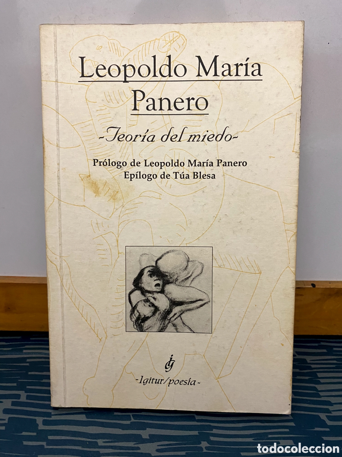 Libros de segunda mano: Teor&iacute;a del miedo - PANERO, Leopoldo - Foto 1