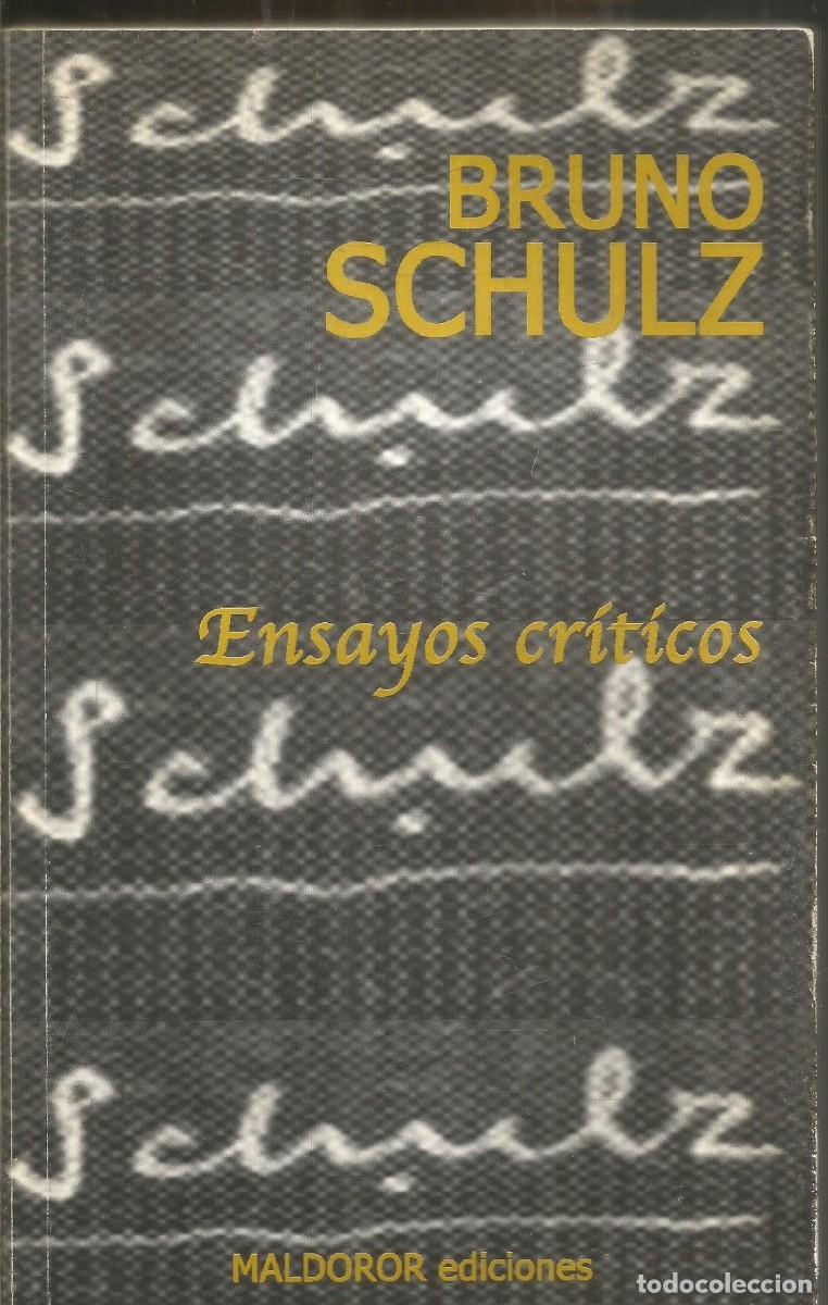Libros de segunda mano: BRUNO SCHULZ. ENSAYOS CRITICOS. MALDOROR EDICIONES. PRIMERA EDICION - Foto 1
