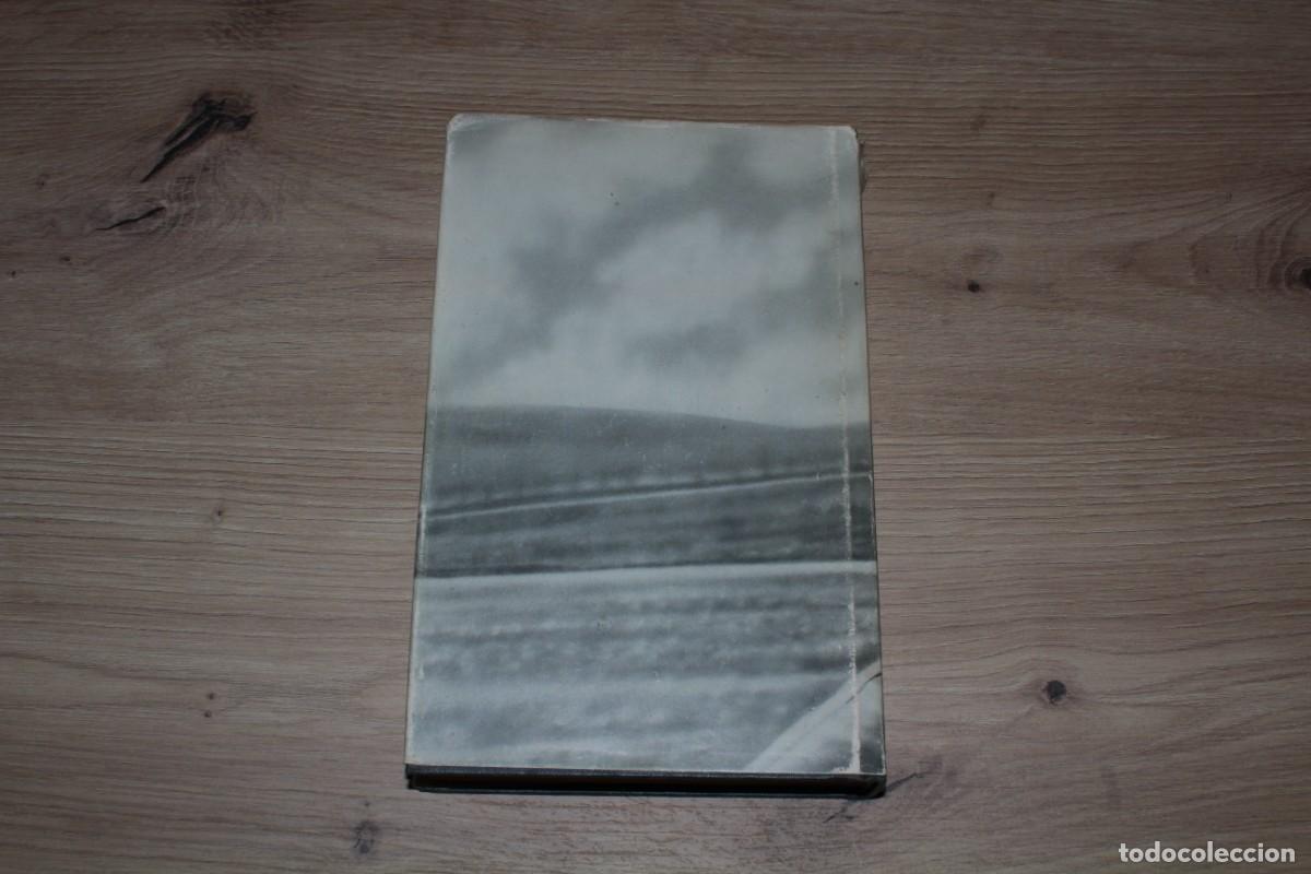 Libros de segunda mano: El amor en Suecia Sandro Sciara - Foto 2