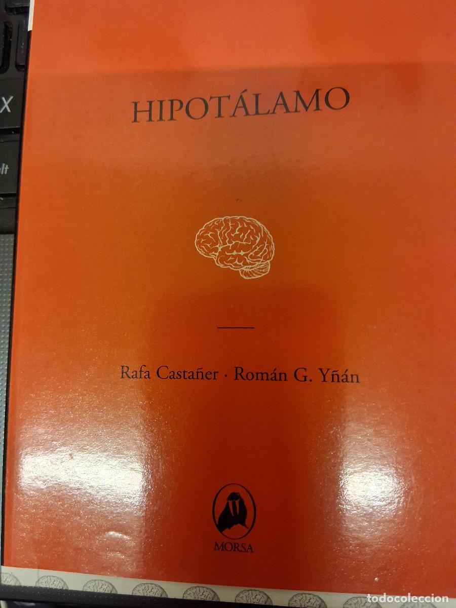 Libros de segunda mano: CASTA&Ntilde;ER, Rafa y Y&Ntilde;AN, Rom&aacute;n G: Hipot&aacute;lamo - Foto 1