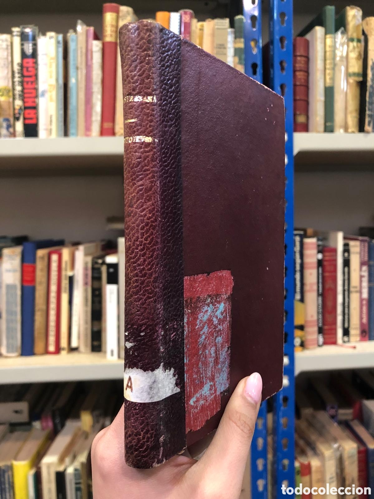 Libros de segunda mano: Dostoievsky - Luis de Castresana - Foto 1