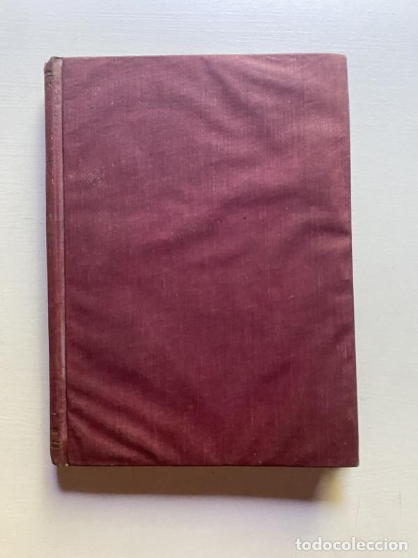 Libros de segunda mano: Bases del judaismo - Link Pablo - Foto 2