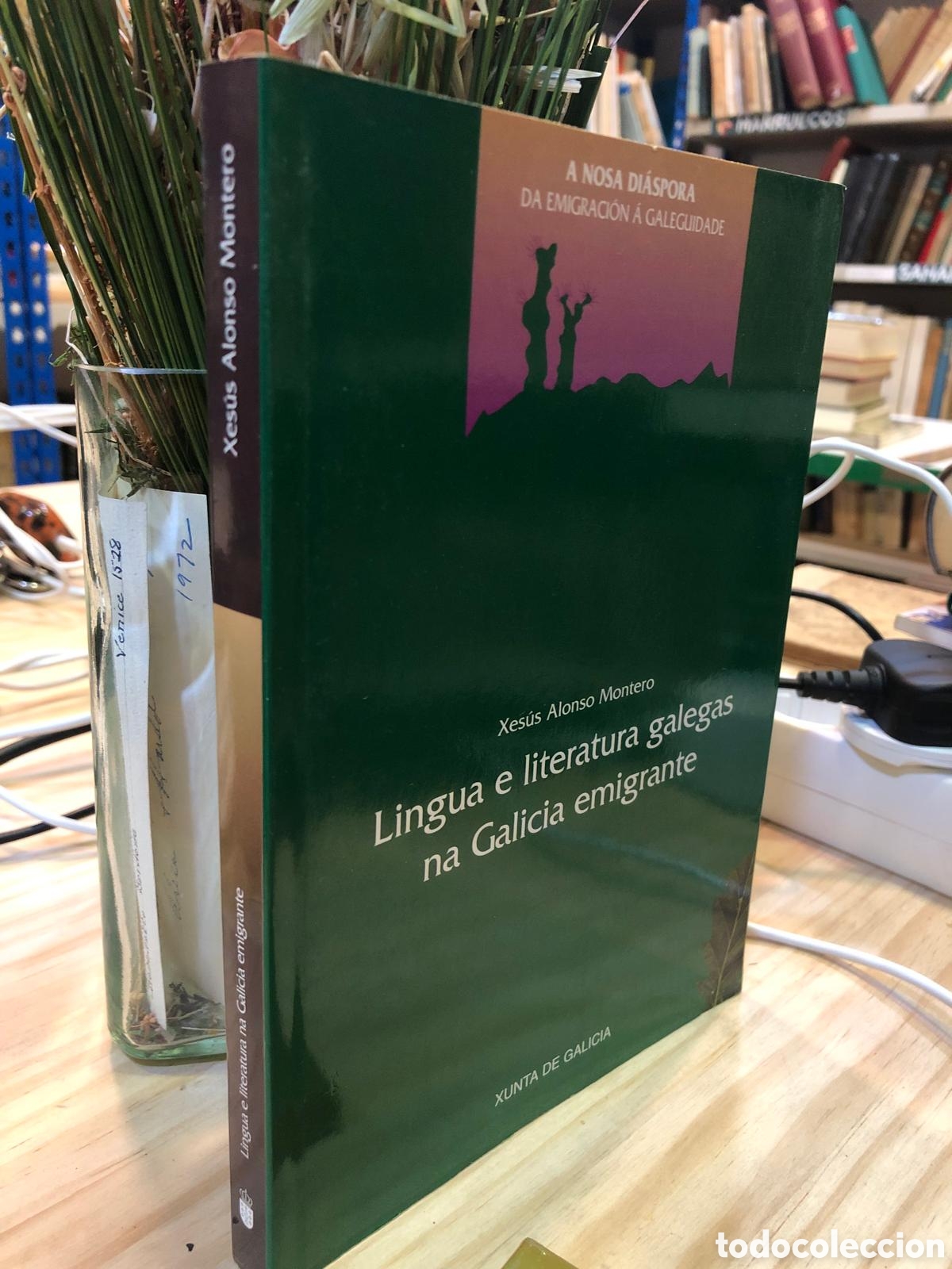 Libri di seconda mano: Lingua e literatura galegas na Galicia emigrante - Xes&uacute;s Alonso Montero