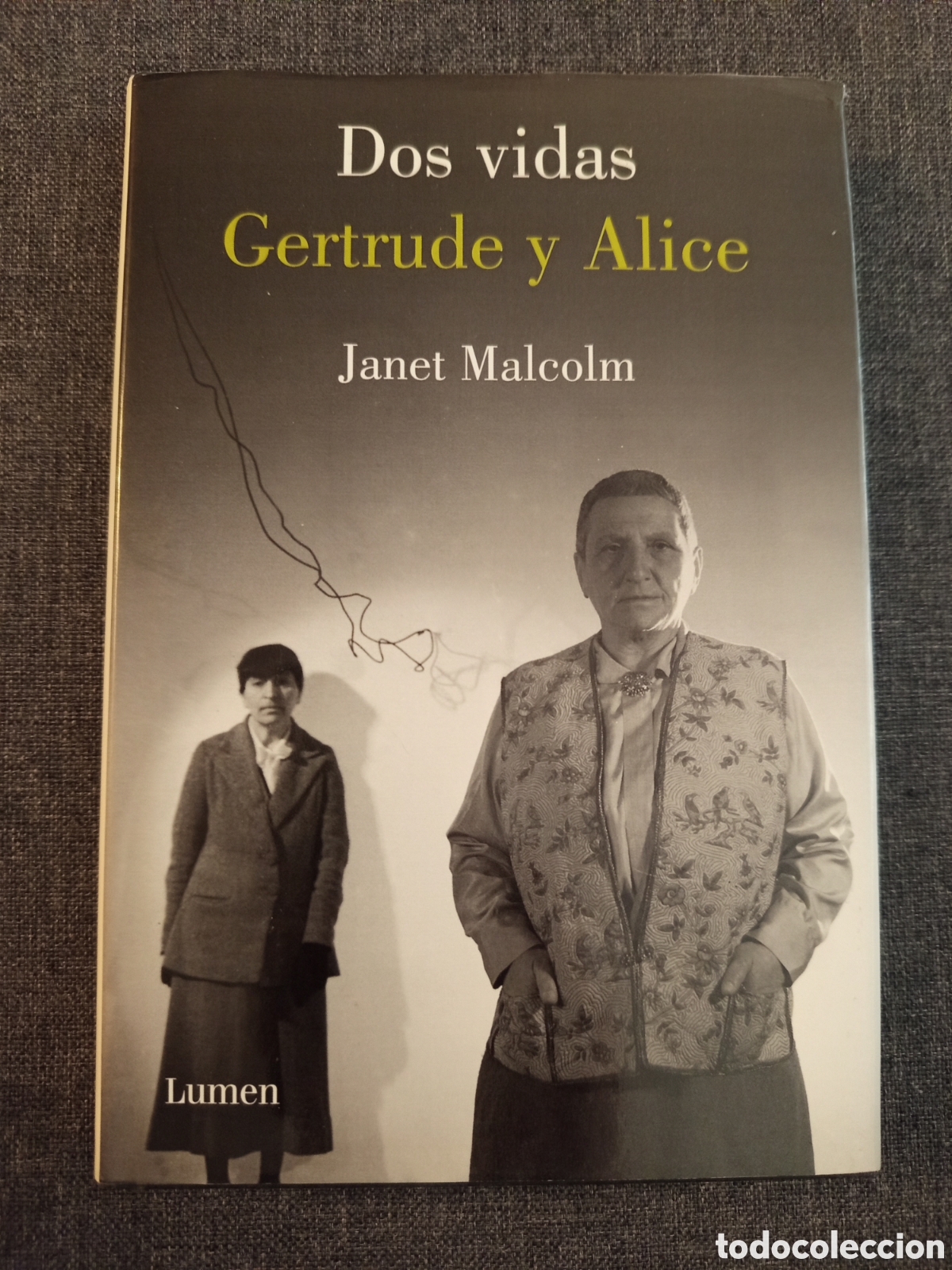 Libros de segunda mano: DOS VIDAS. GERTRUDE Y ALICE (JANET MALCOLM)