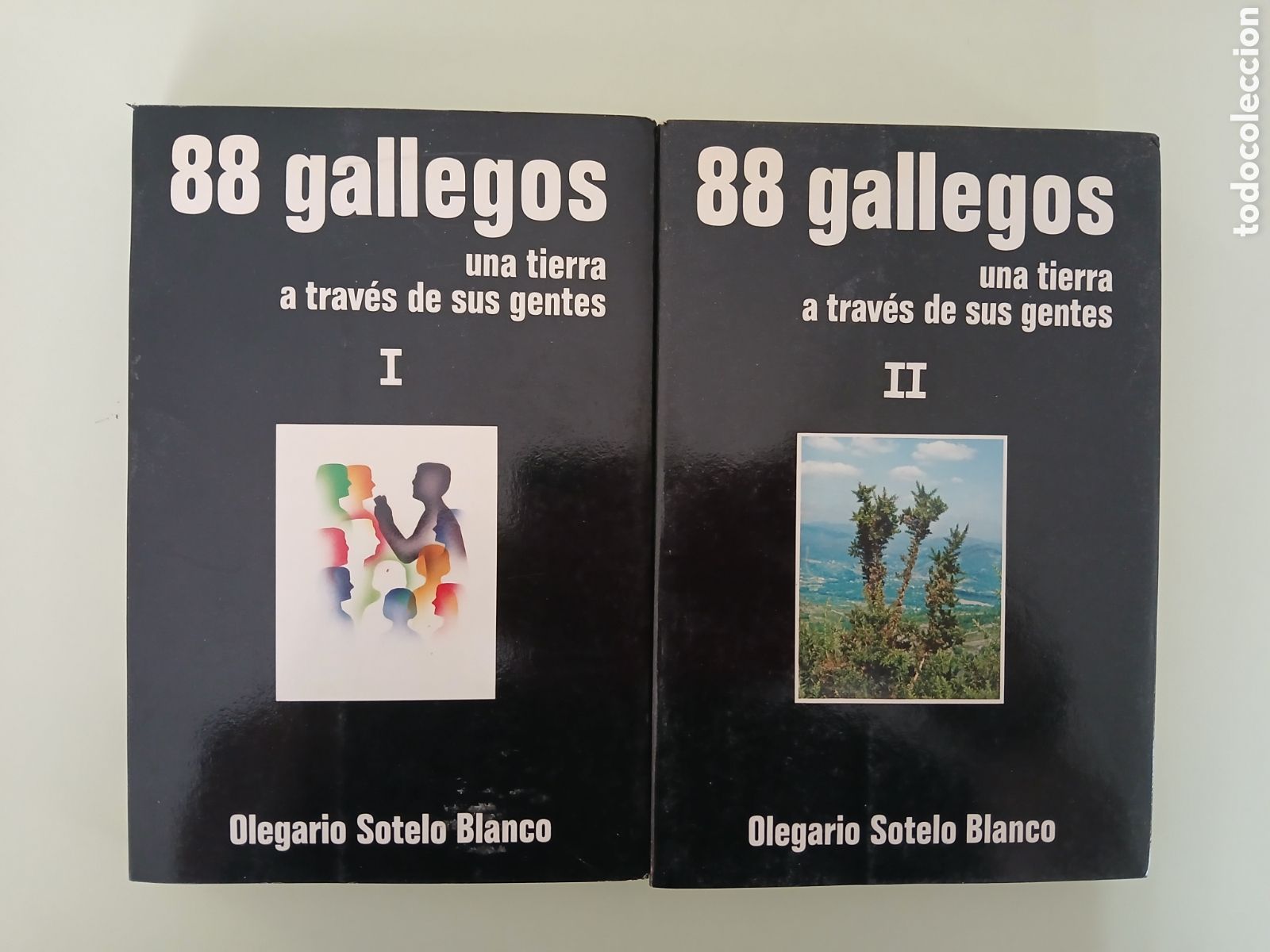 Libros de segunda mano: 88 gallegos, una tierra a trav&eacute;s de sus gentes. Olegario Sotelo Blanco. 2 tomos ( Completa ).GALICIA