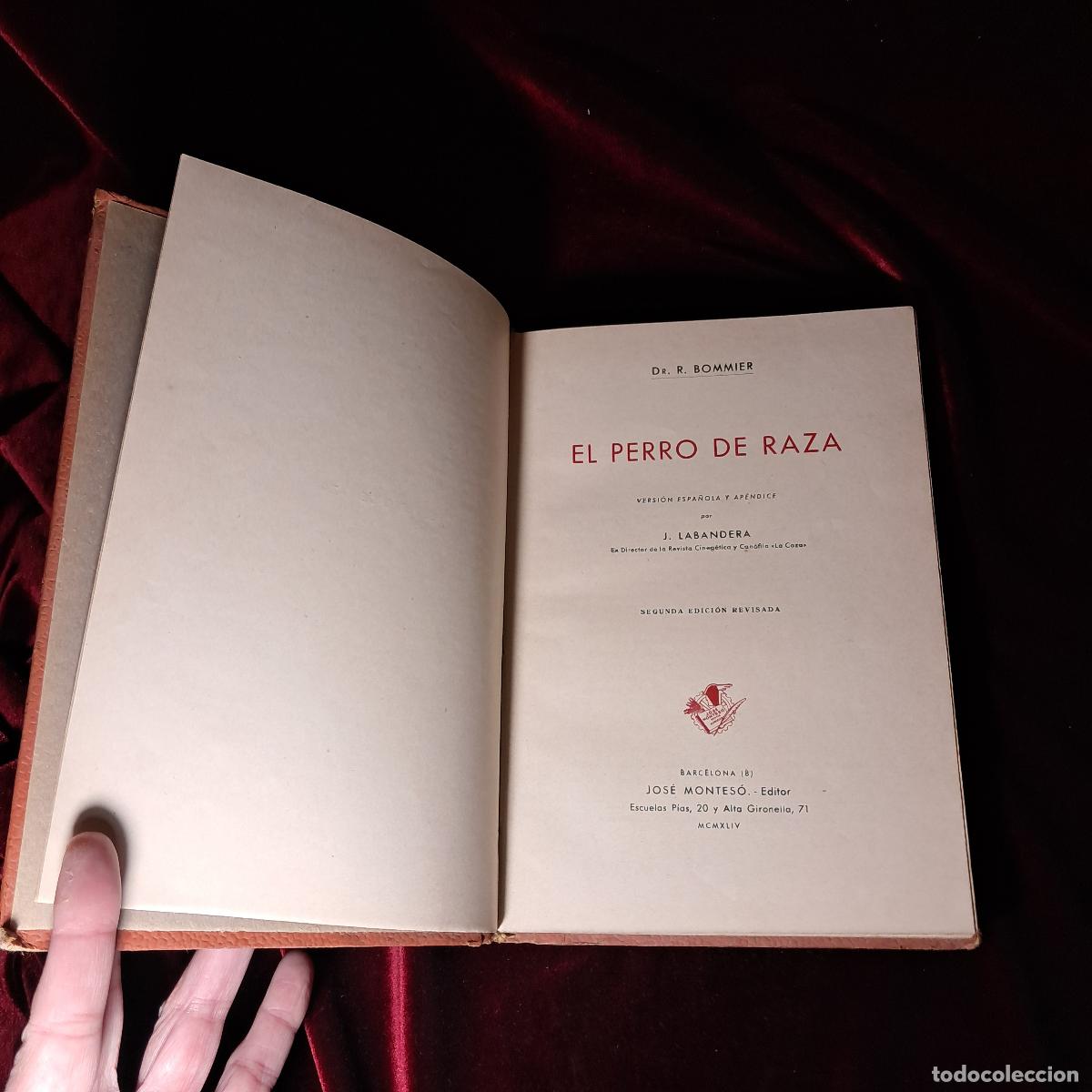 Libros de segunda mano: EL PERRO DE RAZA. Dr. R. Bommier. 1944 - Foto 3