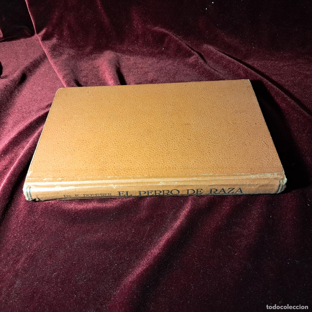 Libros de segunda mano: EL PERRO DE RAZA. Dr. R. Bommier. 1944 - Foto 5