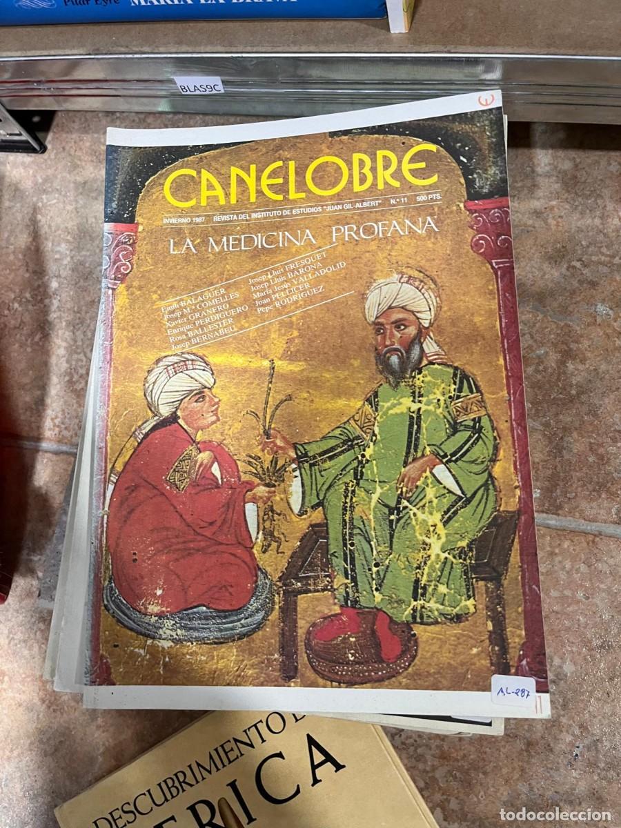 Libros de segunda mano: BLAS9C CANELOBRE, INSTITUTO JUAN GIL-ALBERT N&deg; 11 (INVIERNO 1987)