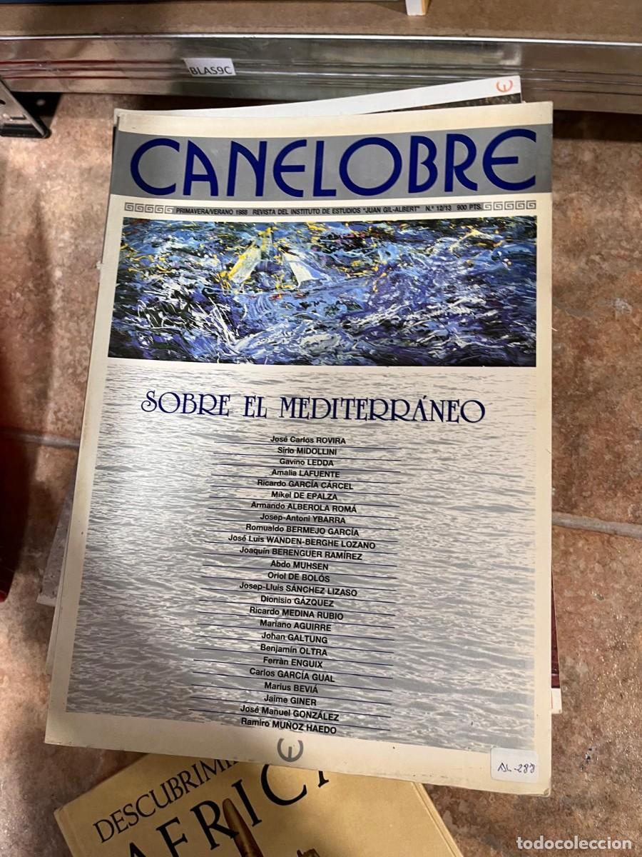 Libros de segunda mano: BLAS9C CANELOBRE, INSTITUTO JUAN GIL-ALBERT N&deg; 12/13 (PRIMAVERA-VERANO 1988)