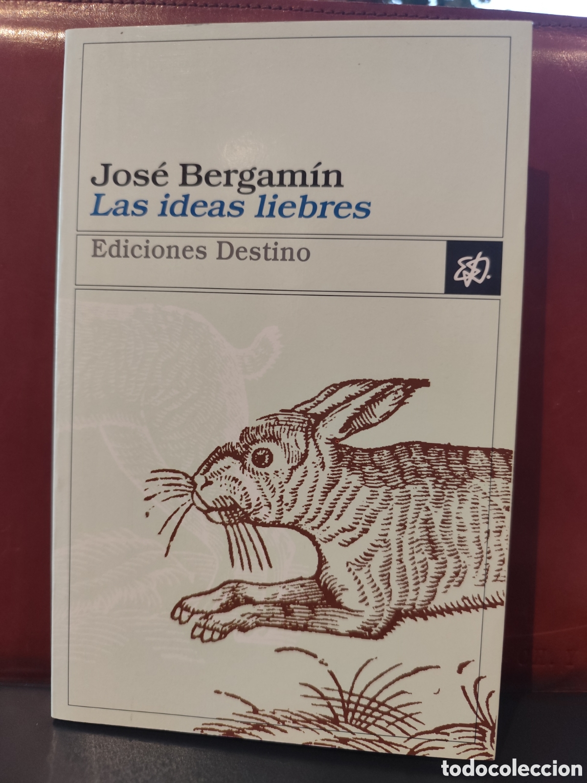 Libros de segunda mano: Las ideas liebres. Jos&eacute; B&eacute;rgamin