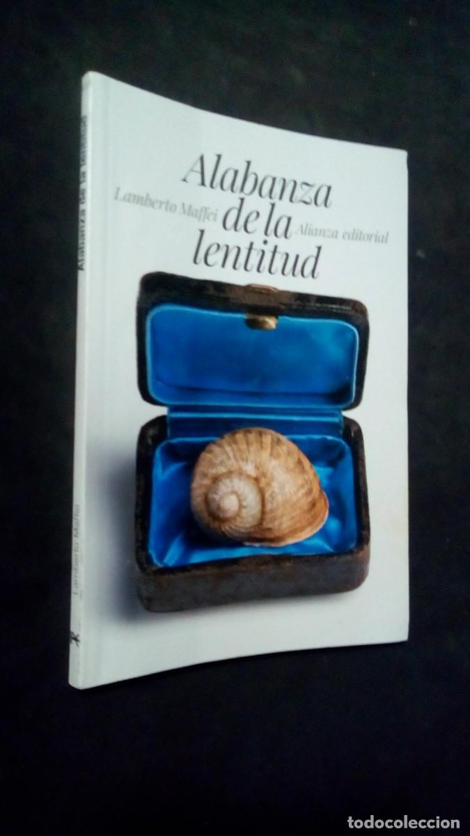 Libros de segunda mano: ALABANZA DE LA LENTITUD / LAMBERTO MAFFEI / 2015. ALIANZA EDITORIAL