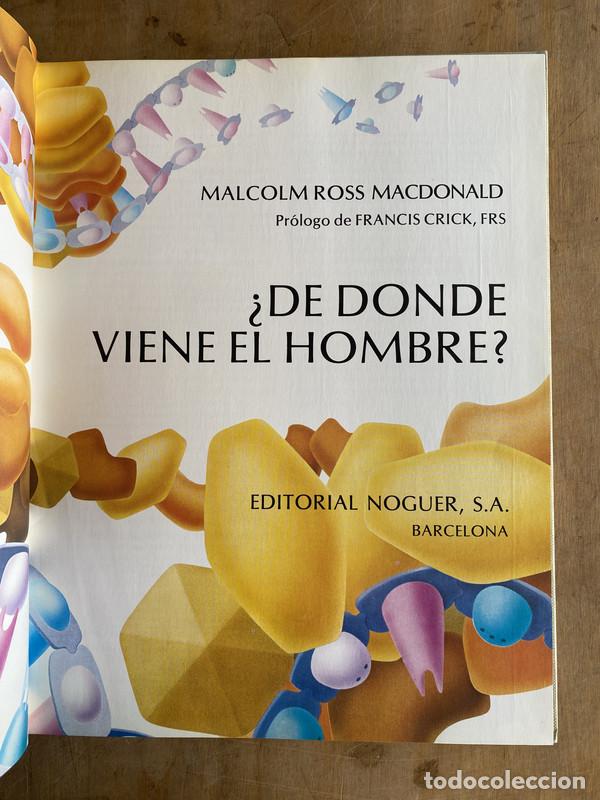 Libros de segunda mano: &iquest;De donde viene el hombre? - Ross Macdonald Malcolm
