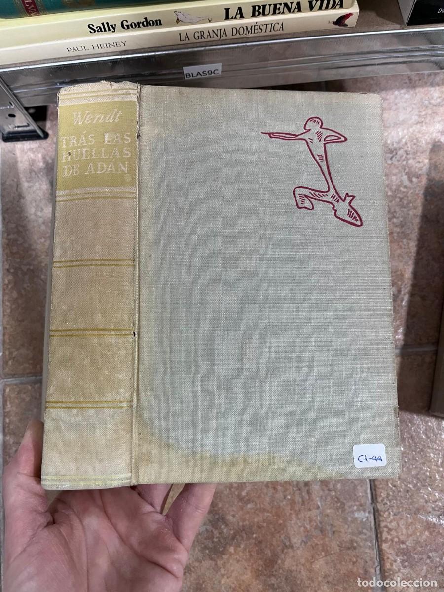 Libros de segunda mano: BLAS9C Tras las huellas de Adan - Herbert Wendt