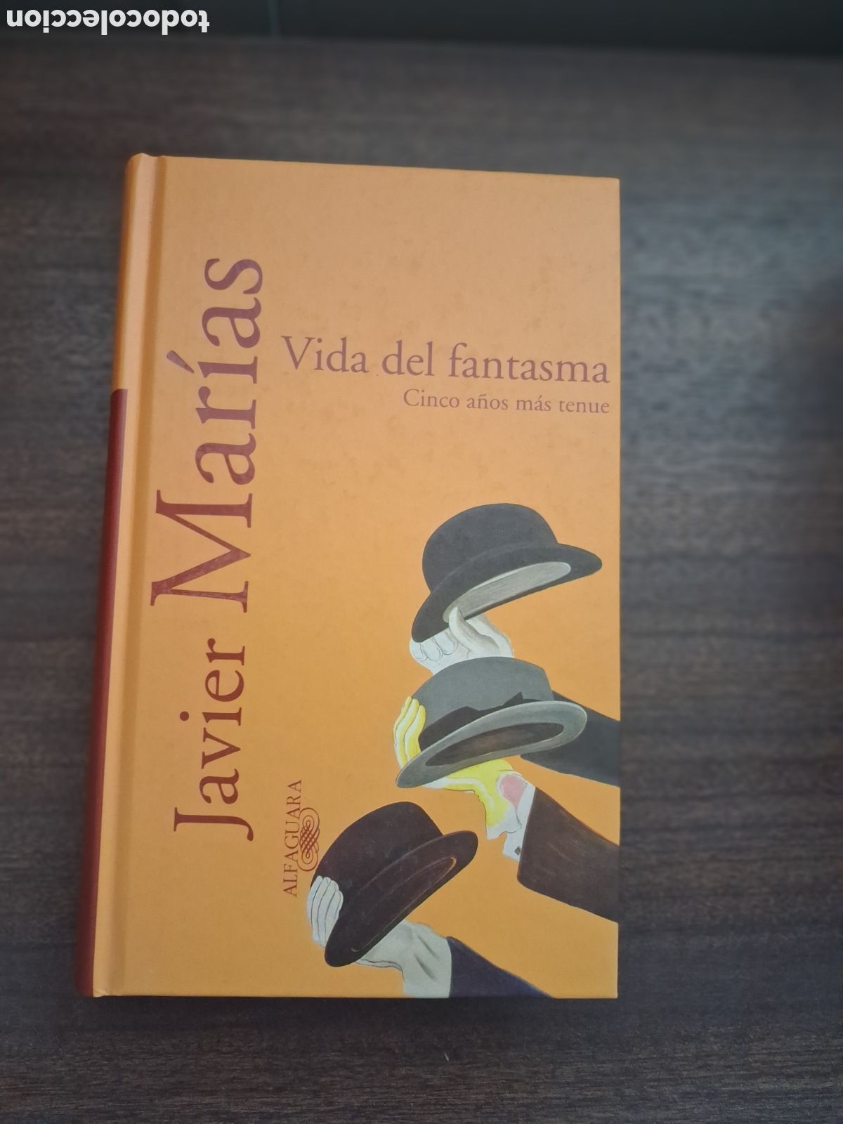 Libros de segunda mano: Vida del fantasma: cinco a&ntilde;os m&aacute;s tenue , Javier Mar&iacute;aa
