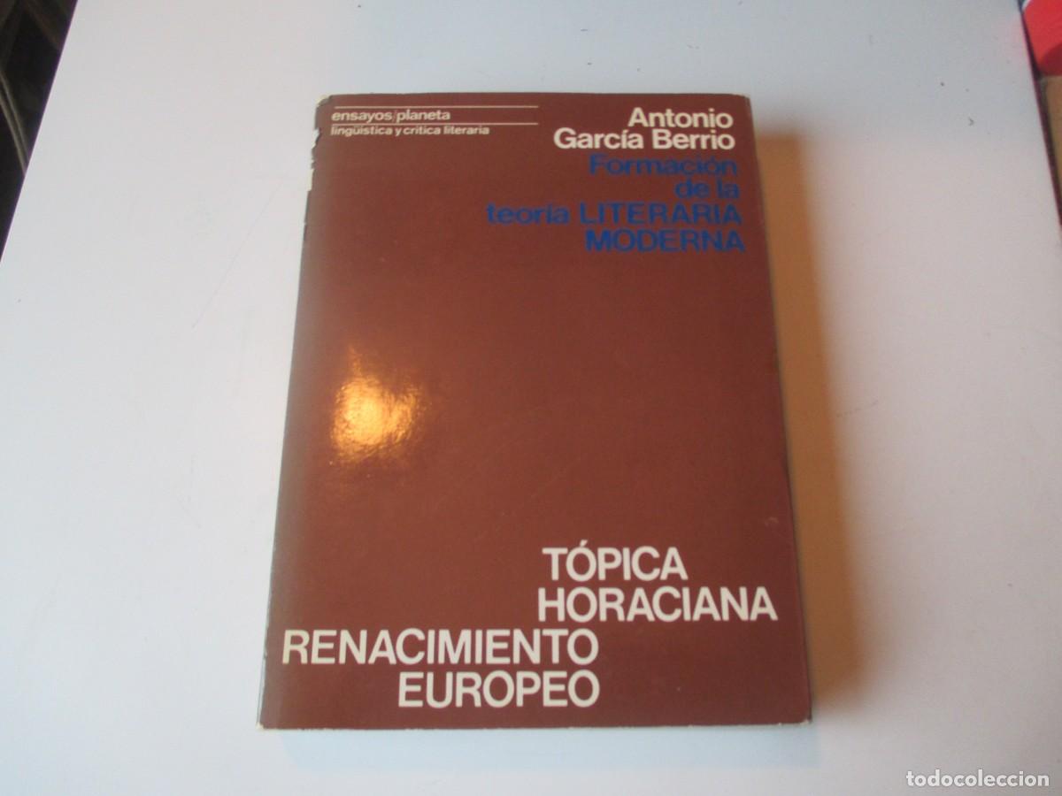 Libros de segunda mano: ANTONIO GARC&Iacute;A BERRIO Formaci&oacute;n de la teor&iacute;a literaria moderna W39821