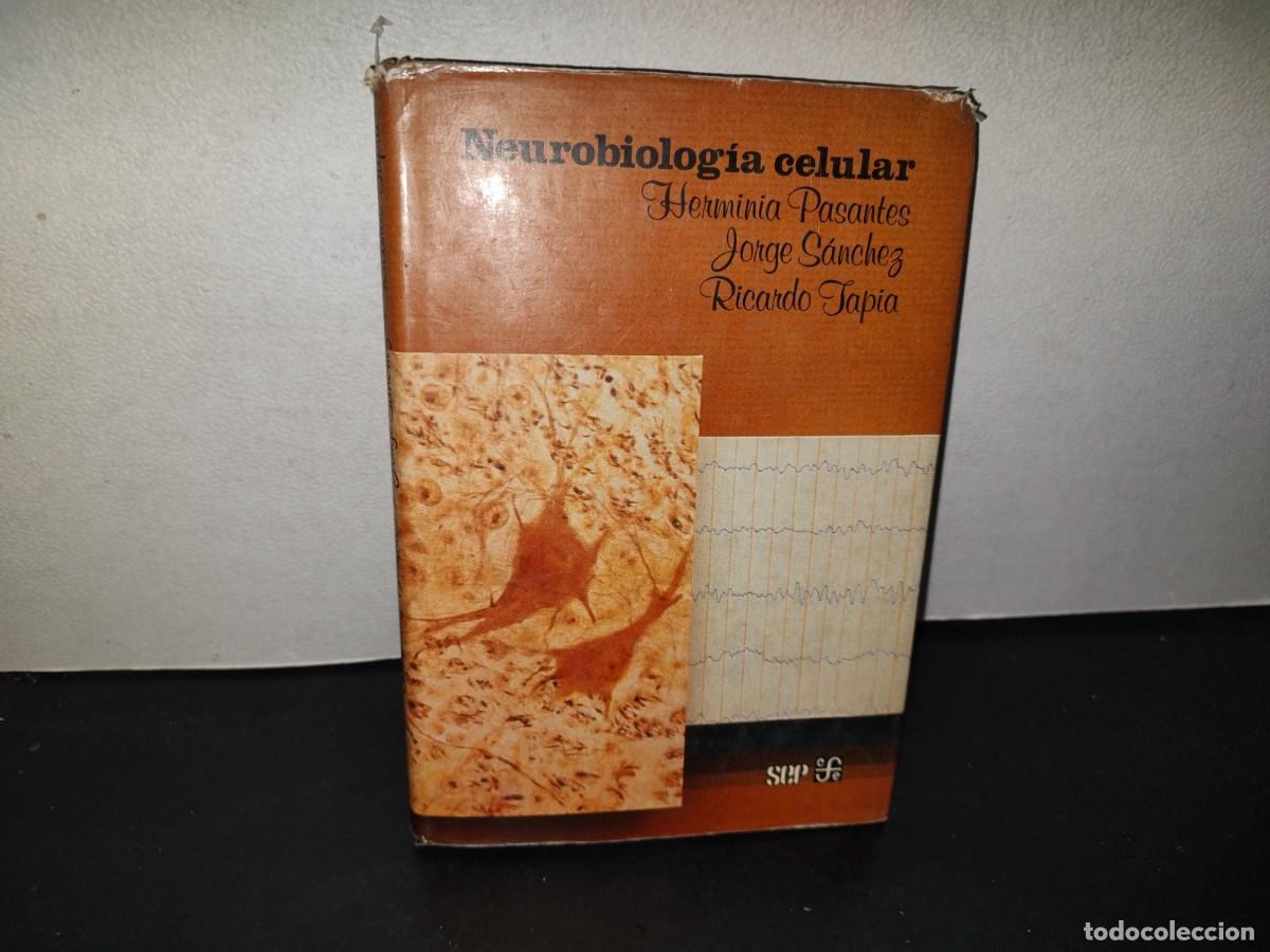 Libros de segunda mano: 216- Neurobiolog&iacute;a Celular - Herminia Pasantes, Jorge S&aacute;nchez, Ricardo Tapia