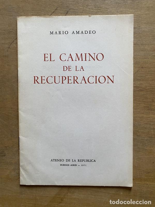 Libros de segunda mano: El camino de la recuperacion - Amadeo Mario