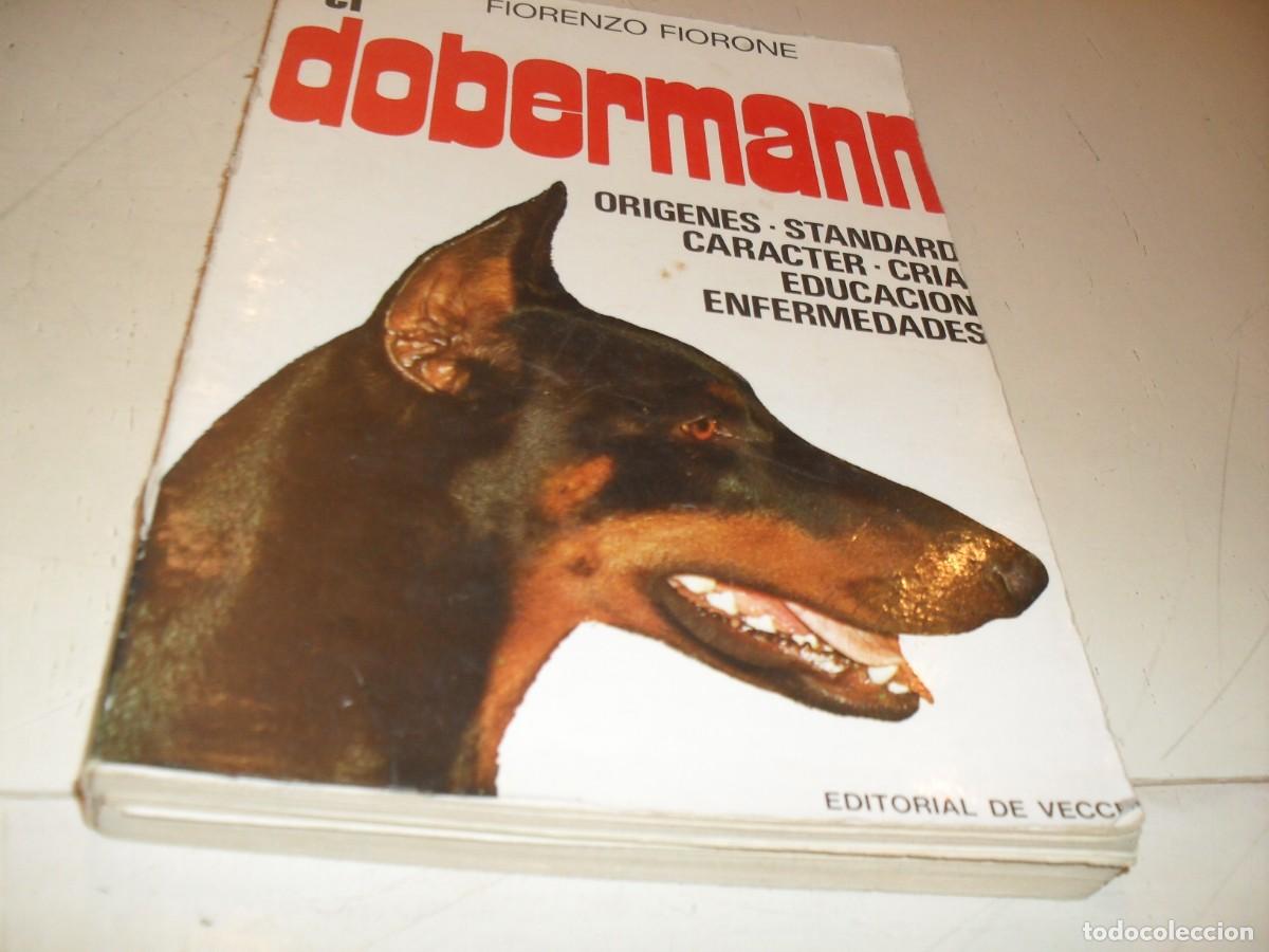 Libros de segunda mano: EL DOBERMAN,DE FIORENZO FIORONE,EDITORIAL DE VECCHI,A&Ntilde;O 1979