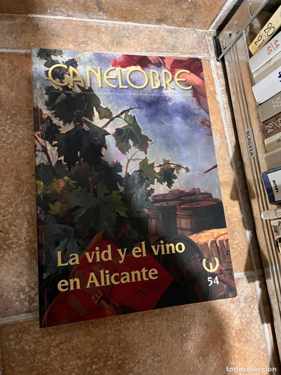 Libros de segunda mano: BLAS31A CANELOBRE INVIERNO 2008-2009 &middot; REVISTA DEL INSTITUTO ALICANTINO DE CULTURA JUAN GIL-ALDERT