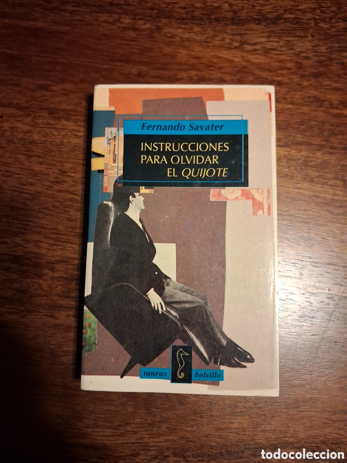 Libros de segunda mano: Instrucciones para olvidar el Quijote, Fernando Savater