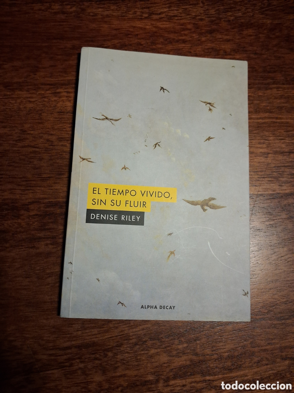 Libros de segunda mano: EL TIEMPO VIVIDO, SIN SU FLUIR. DENISE RILEY