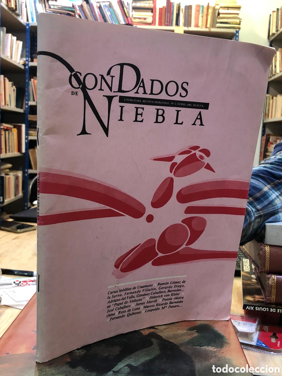 Livros em segunda m&atilde;o: Con dados de niebla. Literatura. Revista Semestral, N&deg; 2, Junio 1985